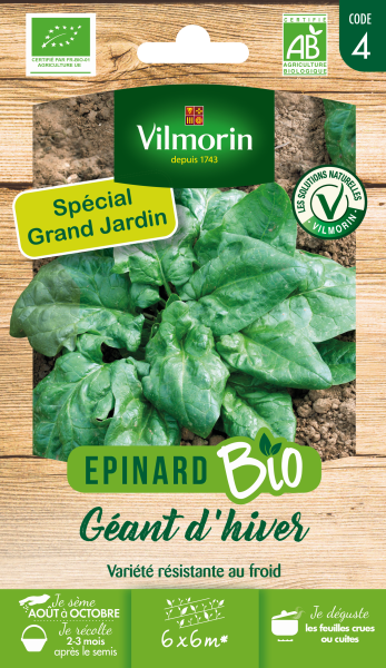 Potagères - Epinard Géant d'Hiver - BIO - Grand Modèle - face recto